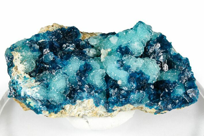Sparkling Blue Veszelyite Cluster on Hemimorphite - Congo #351596